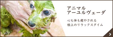 アニマルアーユルヴェーダ