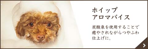 ホイップアロマバイス